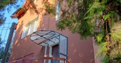 APARTAMENT 100m pătrați în vilă | Cernica, pe malul lacului, via s vis de Manastire | Curte comuna a cu încă 2 apartamente